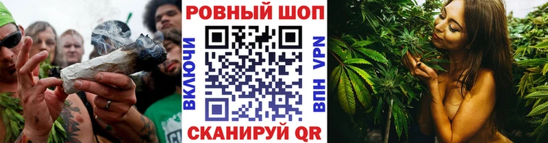 Как найти закладки Сысерть ГАШ  MDMA  Меф  Псилоцибиновые грибы  Конопля  COCAIN 