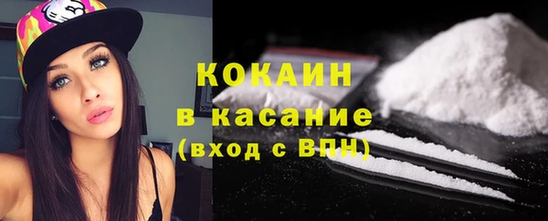 шишки Балабаново